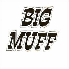 Album cover of The Theme From Big Muff
