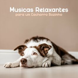 Album cover of Músicas Relaxantes ​​para um Cachorro Sozinho