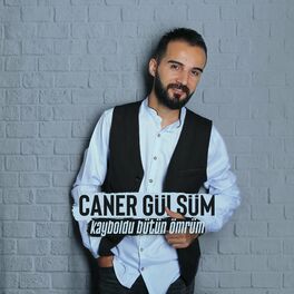 Album cover of Kayboldu Bütün Ömrüm