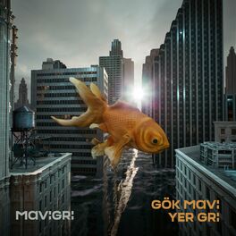 Album cover of Gök Mavi Yer Gri