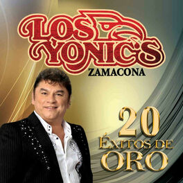 Album cover of 20 Éxitos de Oro