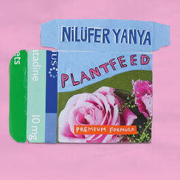 Album cover of Plant Feed