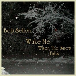 Album cover of Wake Me When The Snow Falls