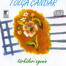Album cover of Türküleri Egenin