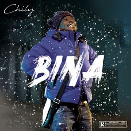 Album cover of Bina