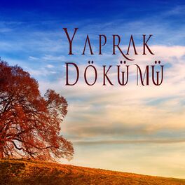 Album cover of Yaprak Dökümü (Duygusal Enstrümantal)