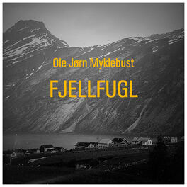 Album cover of Fjellfugl