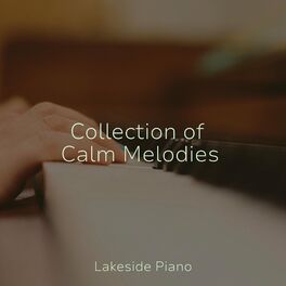 Album cover of Collection of Calm Melodies