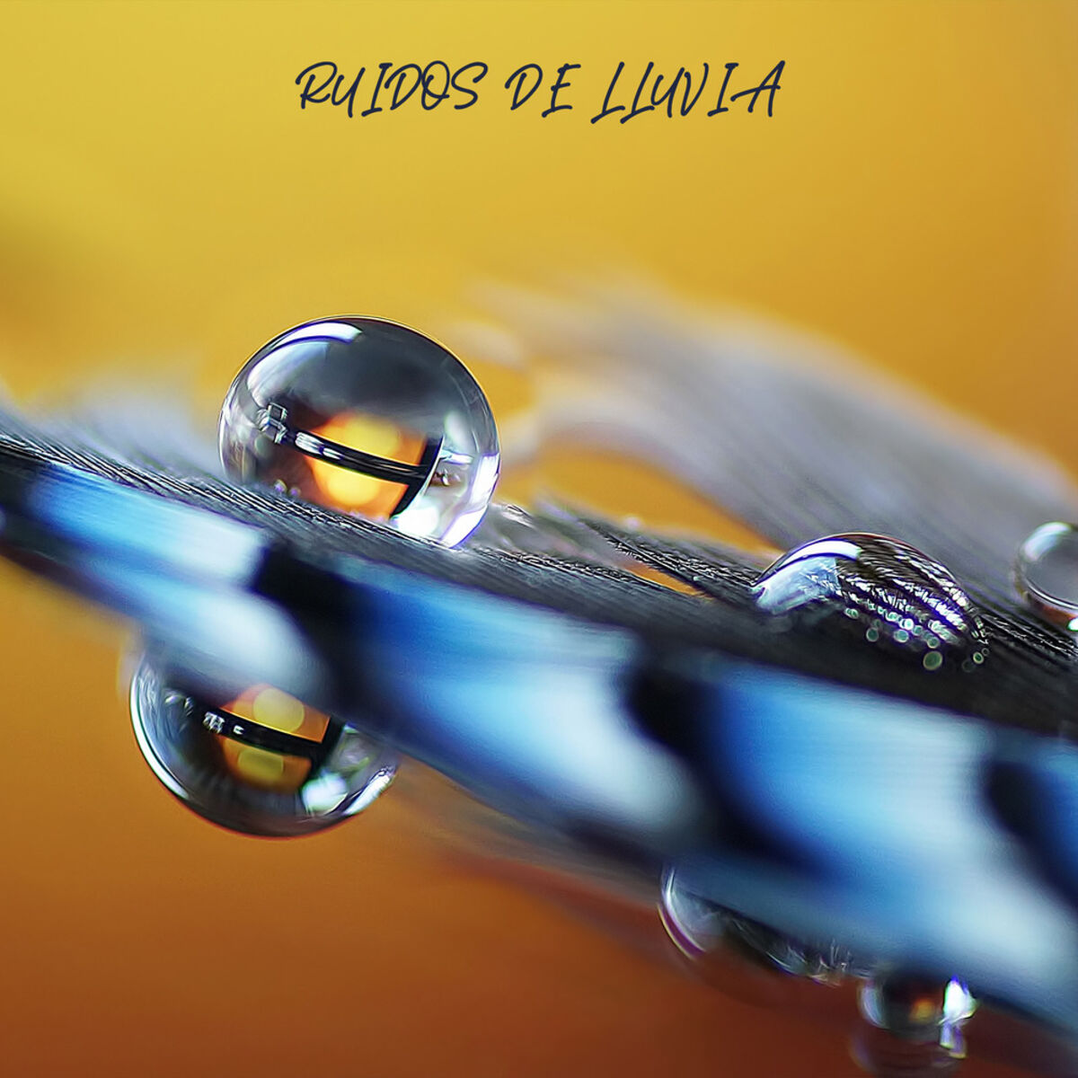 Musica lluvia relajante