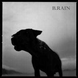 Album cover of B.RAIN