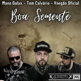 Album cover of Boa Semente