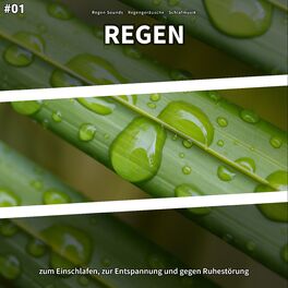 Album cover of #01 Regen zum Einschlafen, zur Entspannung und gegen Ruhestörung