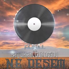 Album cover of Ne Desem (feat. Aşıl)