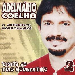 Album cover of Visita ao Trio Nordestino, Vol. 2 (O Autêntico Forrozeiro)