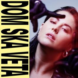 Album cover of DOM SKA VETA