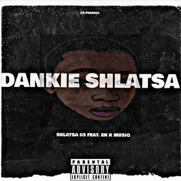 Album cover of Dankie Shlatsa