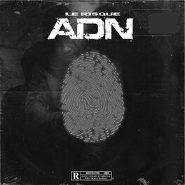 Album cover of ADN
