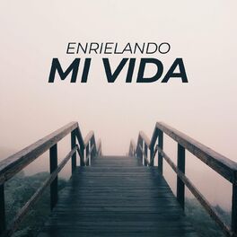 Album cover of Enrielando mi vida