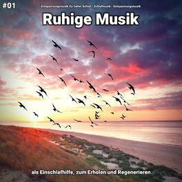 Album cover of #01 Ruhige Musik als Einschlafhilfe, zum Erholen und Regenerieren