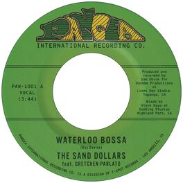 Album cover of Waterloo Bossa (feat. Gretchen Parlato)