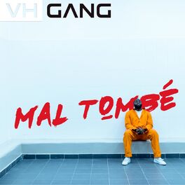 Album cover of Mal tombé