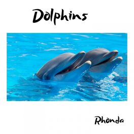 Album cover of Dolphins