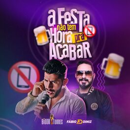 Album cover of A Festa Não Tem Hora pra Acabar