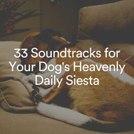 Album cover of 33 Soundtracks for Your Dog's Heavenly Daily Siesta