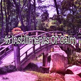 Album cover of 46 Instillments of Calm