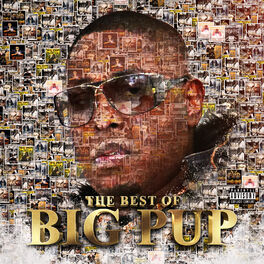 Album cover of The Best of Big Pup
