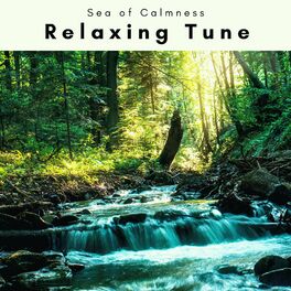 Album cover of A Relaxing Tune