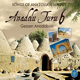 Album cover of Anadolu Turu Gezsen Anadolu'yu, Vol. 6 (Songs of Anatolian Sound)