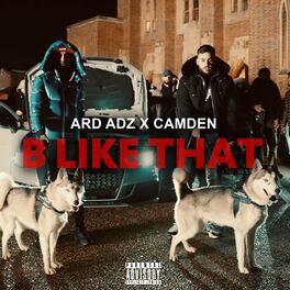 Album cover of B Like That (feat. Ard Adz)