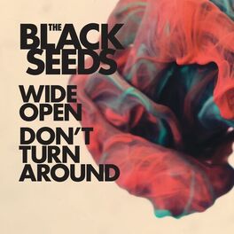 Album cover of Wide Open