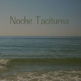 Album cover of Noche Taciturna