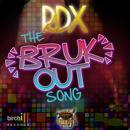Album cover of The Bruk out Song