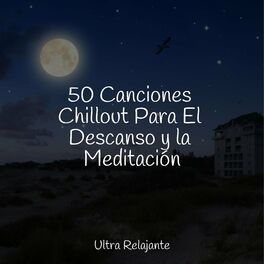 Album cover of 50 Canciones Chillout Para El Descanso y la Meditación