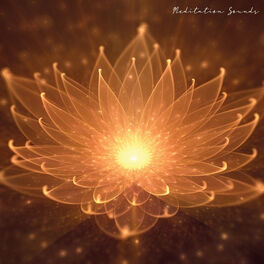 Album cover of Meditation Sounds