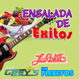 Album cover of Ensalada De Exitos