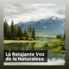 Album cover of La Relajante Voz de la Naturaleza