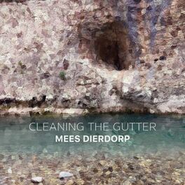 Album cover of Cleaning the Gutter