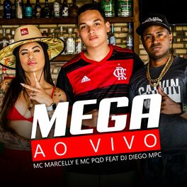 Album cover of Mega ao Vivo