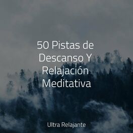 Album cover of 50 Pistas de Descanso Y Relajación Meditativa