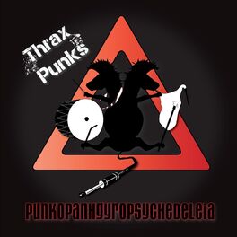 Album cover of Punkopanhgyropsychedeleia