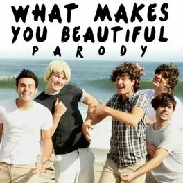 Album cover of What Makes You Beautiful Parody