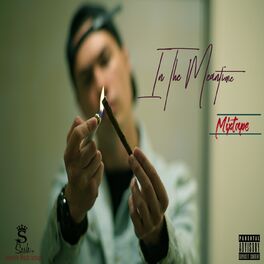 Album cover of In the Meantime