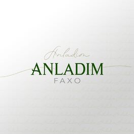 Album cover of Anladim