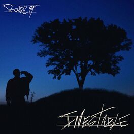 Album cover of INESTABLE