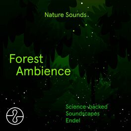 Album cover of Nature Sounds: Forest Ambience