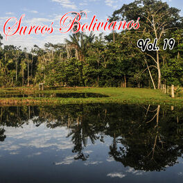 Album cover of Surcos Bolivianos Vol. 19